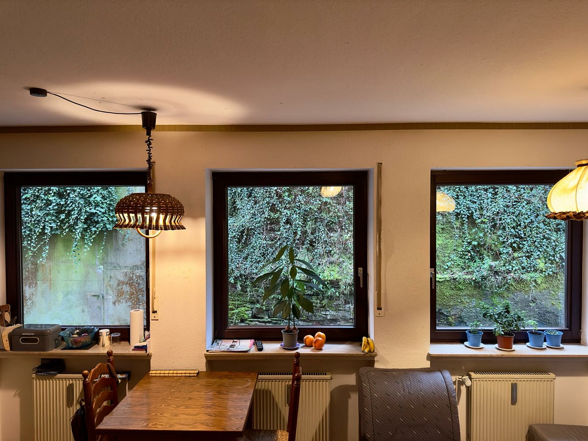 Fensterfront