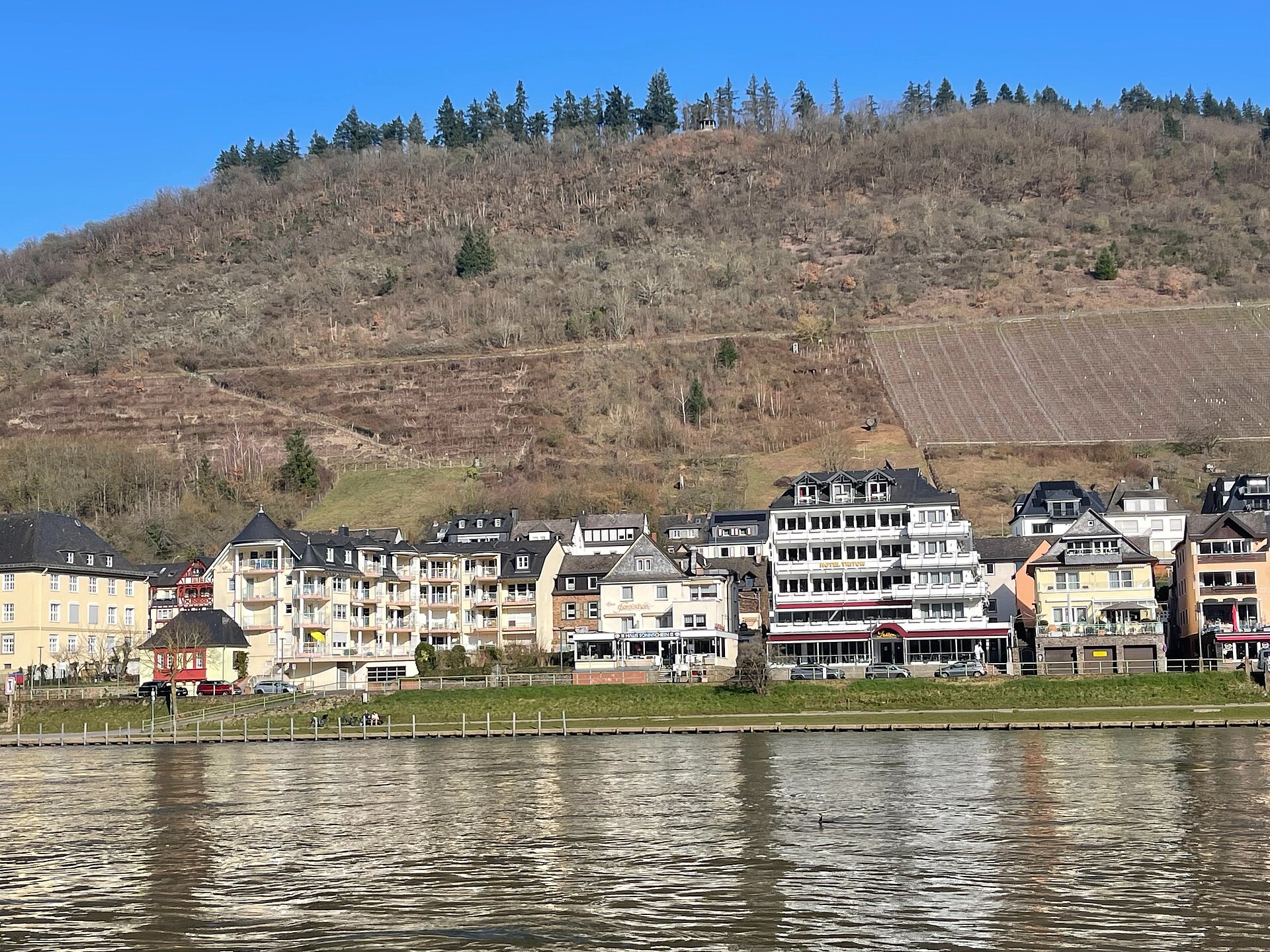 Lage, direkt am Moselufer