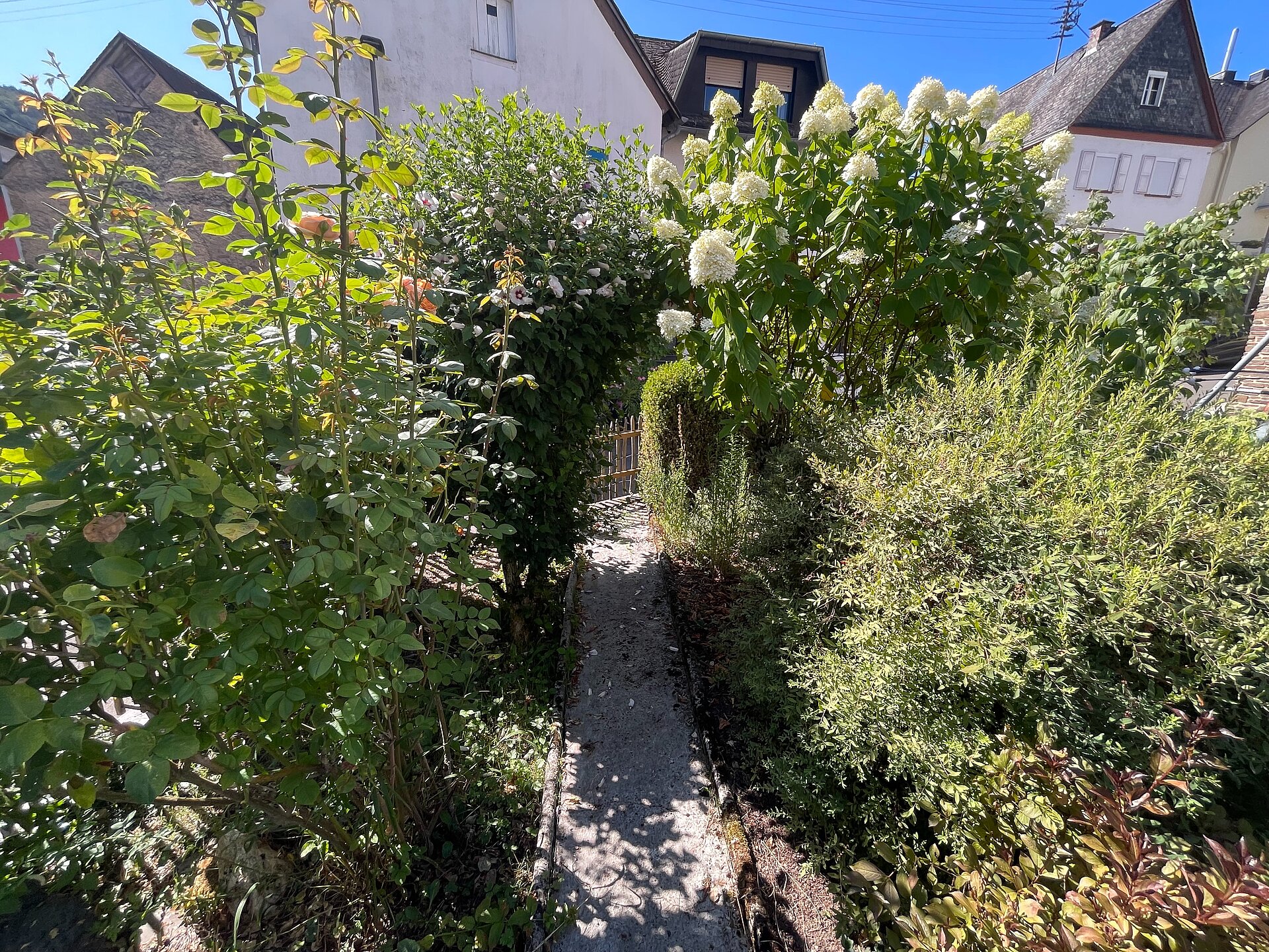 Garten