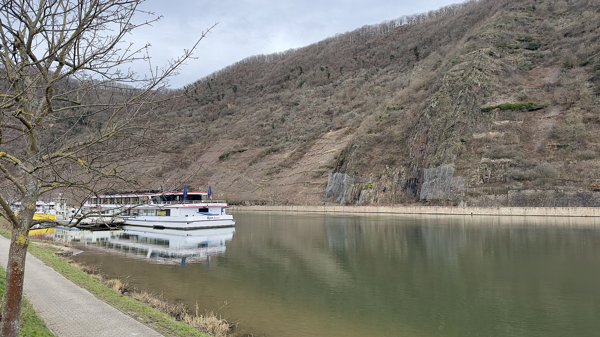 Aussicht Prallhang Moselufer Briedern