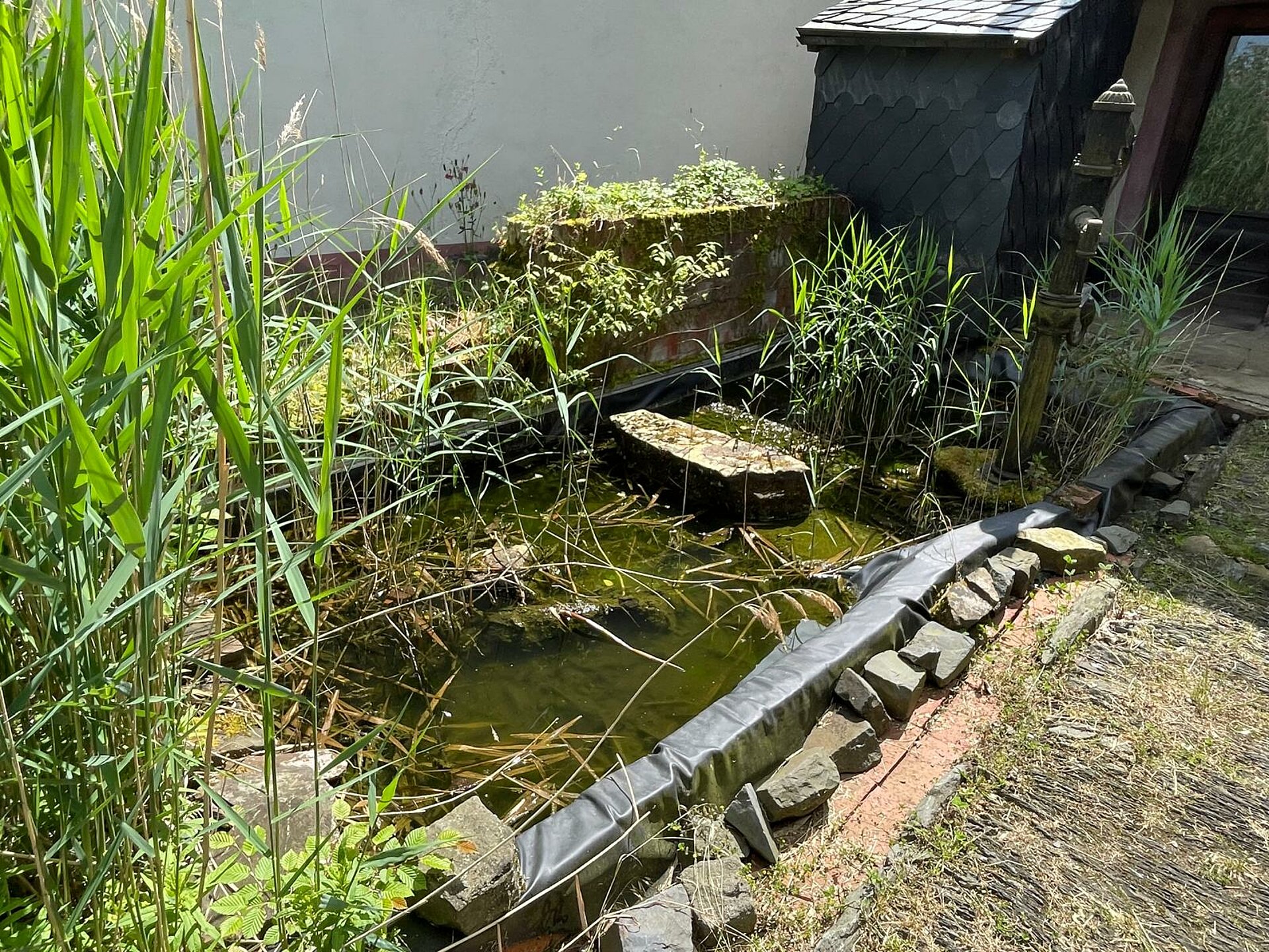 Kleiner Teich