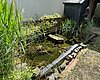 Kleiner Teich